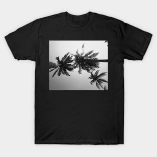 Palmtree black&white T-Shirt